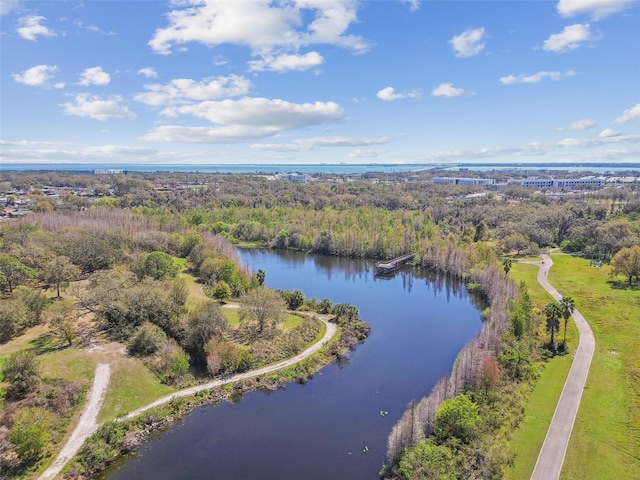 drone / aerial view with a water view and a forest view