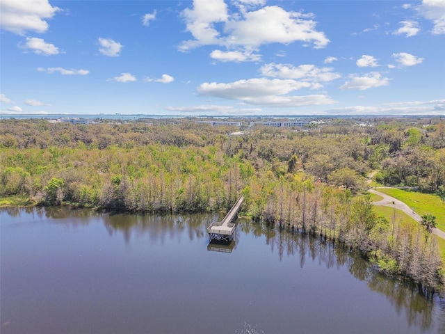 drone / aerial view featuring a water view and a view of trees