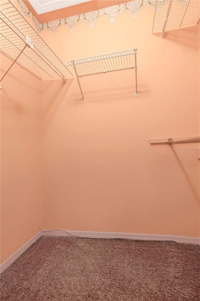 1321 N Mcmullen Booth Rd Unit 1321, Clearwater, FL 33759 - photo 35