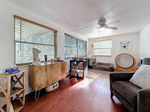 office space with ceiling fan, a textured ceiling, and wood finished floors