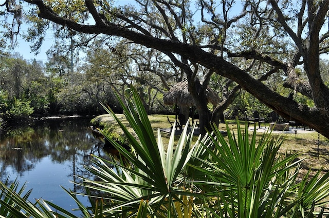 view of water feature