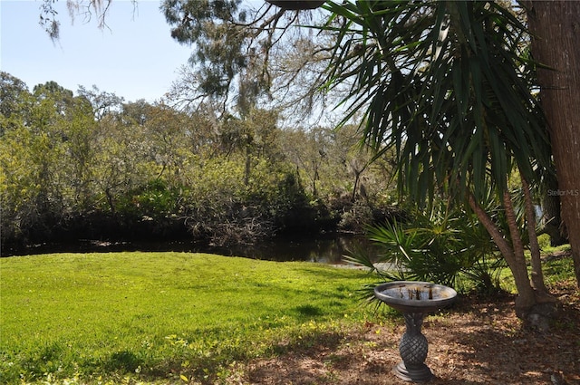 view of yard with a forest view