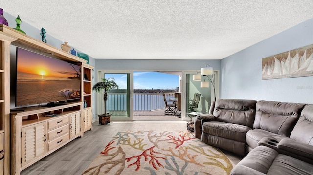 living room with a textured ceiling and wood finished floors