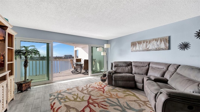 living room with a textured ceiling and wood finished floors