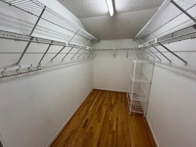 spacious closet featuring wood finished floors