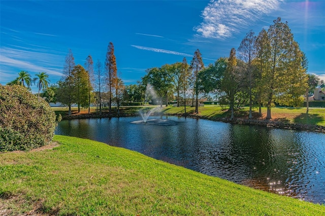 view of water feature