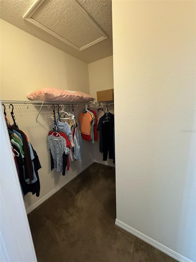 walk in closet featuring attic access and dark colored carpet