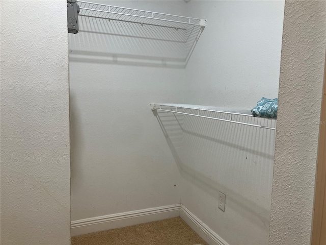 walk in closet featuring carpet