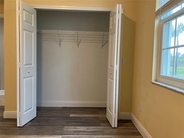 6815 Dali Ave Unit F101, Land O Lakes, FL 34637 - view of closet