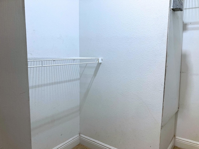 6815 Dali Ave Unit F101, Land O Lakes, FL 34637 - view of walk in closet