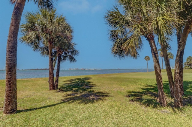 50 Coe Rd Unit 223, Belleair, FL 33756 - photo 29