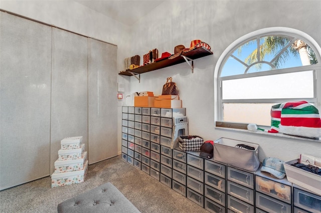 14247 Spanish Wells Dr, Hudson, FL 34667 - view of storage