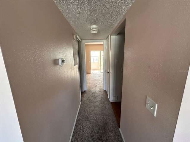 2449 Columbia Dr Unit 29, Clearwater, FL 33763 - photo 8