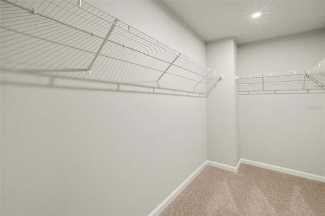 walk in closet featuring carpet floors