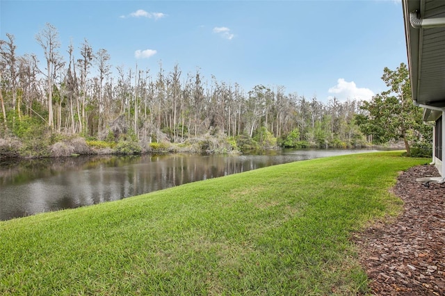 view of yard featuring a water view and a forest view