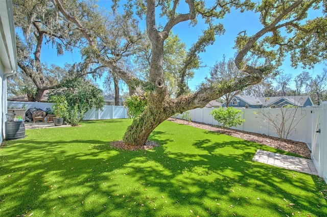 view of yard with a patio area and a fenced backyard