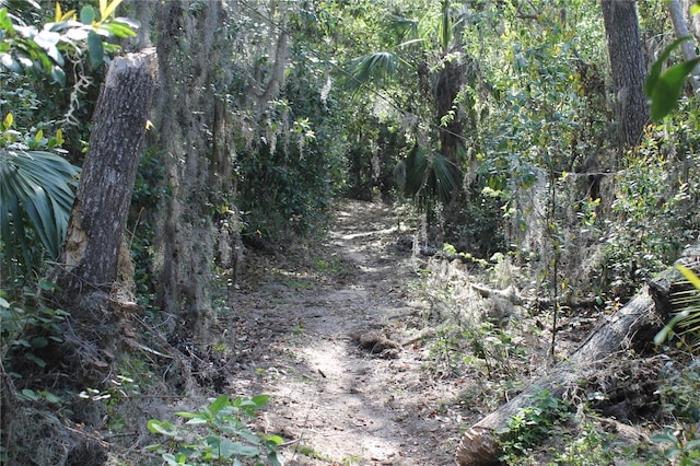 view of local wilderness featuring a view of trees