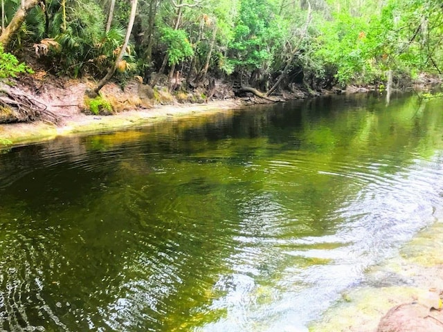 property view of water with a view of trees