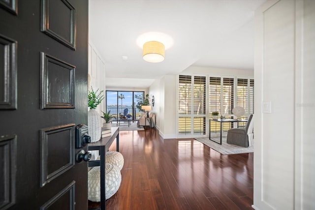 foyer entrance featuring baseboards and dark wood finished floors