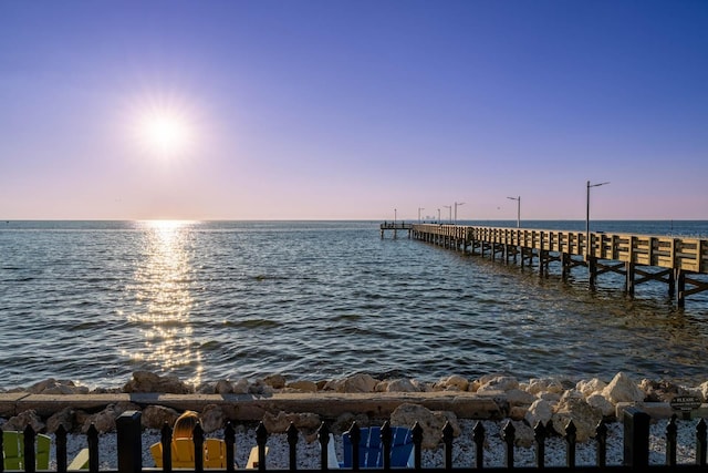 dock area with a water view