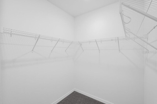 1931 Rosewood Cir, Lakeland, FL 33810 - walk in closet with dark colored carpet