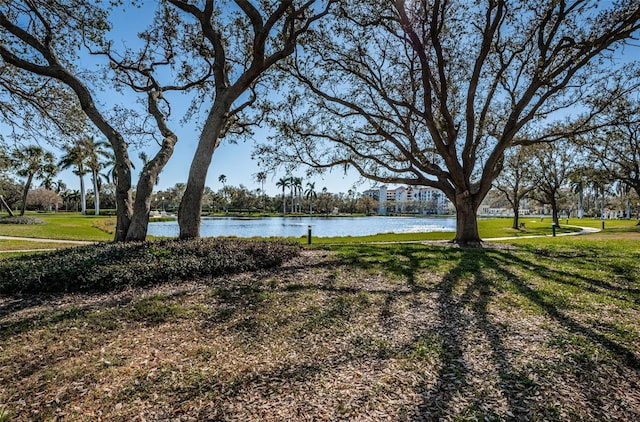 view of yard with a water view