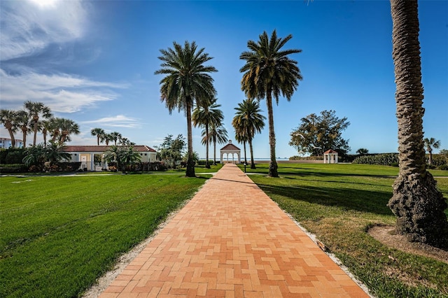 view of community featuring a yard