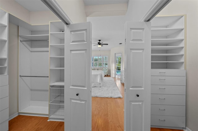 11815 Marblehead Dr, Tampa, FL 33626 - walk in closet featuring wood finished floors and ceiling fan
