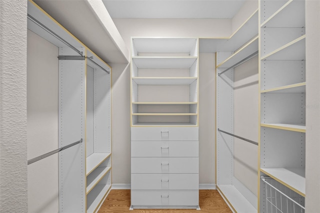 11815 Marblehead Dr, Tampa, FL 33626 - spacious closet with wood finished floors