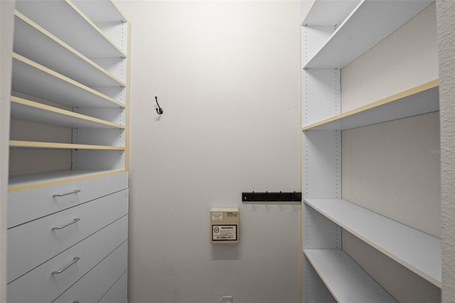 11815 Marblehead Dr, Tampa, FL 33626 - view of spacious closet