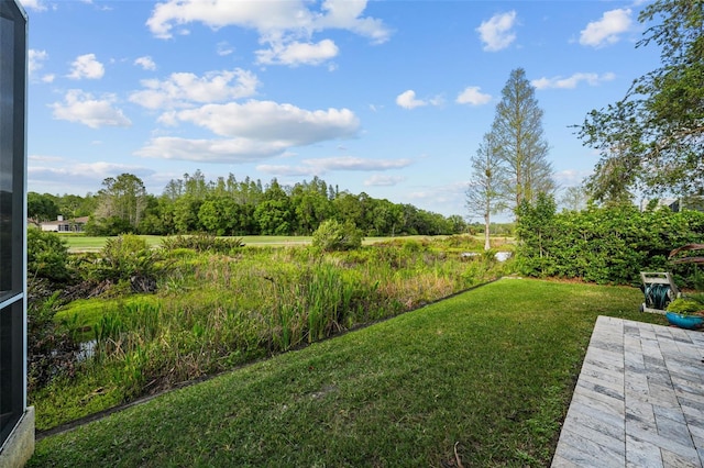 11815 Marblehead Dr, Tampa, FL 33626 - view of yard