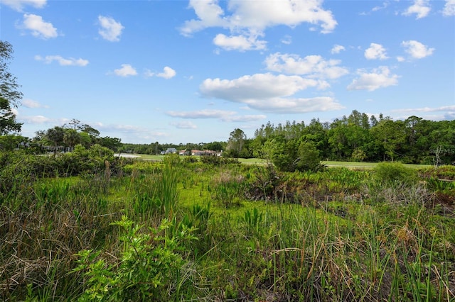 11815 Marblehead Dr, Tampa, FL 33626 - view of landscape