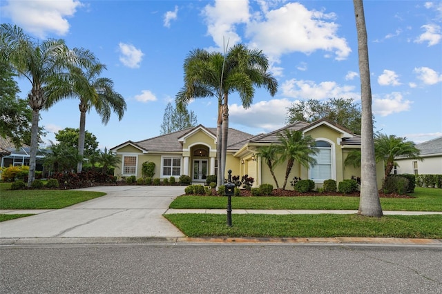 11815 Marblehead Dr, Tampa, FL 33626 - ranch-style home featuring concrete driveway, a front yard, a tile roof, stucco siding, and french doors