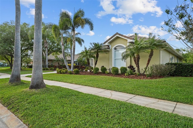 11815 Marblehead Dr, Tampa, FL 33626 - view of front of house with a tile roof, a front yard, and stucco siding