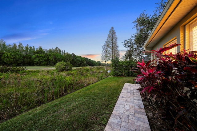 11815 Marblehead Dr, Tampa, FL 33626 - view of yard