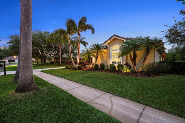 11815 Marblehead Dr, Tampa, FL 33626 - view of front of home featuring a tile roof, a front yard, and stucco siding