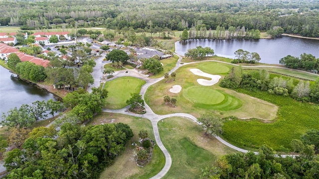 11815 Marblehead Dr, Tampa, FL 33626 - aerial view with a water view and a forest view
