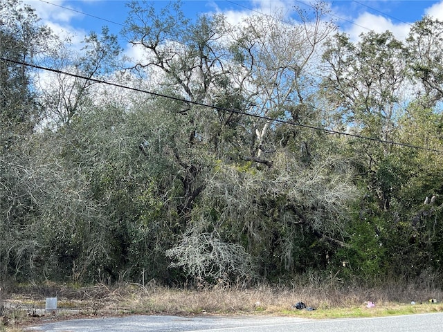 Listing photo 2 for UNKNOWN Hays Road, Hudson FL 34669