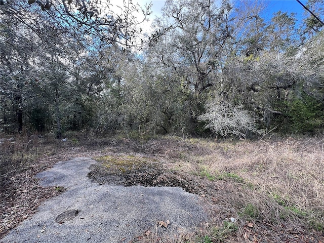 Listing photo 3 for UNKNOWN Hays Road, Hudson FL 34669