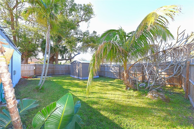 view of yard featuring a storage unit, an outdoor structure, and a fenced backyard