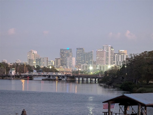 view of water feature featuring a city view