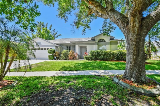 915 Brittany Park Blvd, Tarpon Springs, FL 34689 - single story home featuring a garage, stucco siding, a front lawn, and driveway