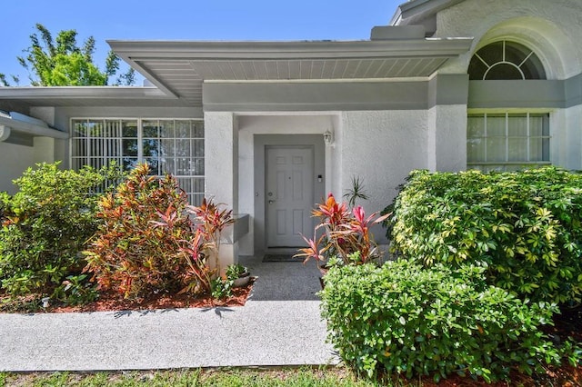 915 Brittany Park Blvd, Tarpon Springs, FL 34689 - view of exterior entry featuring stucco siding