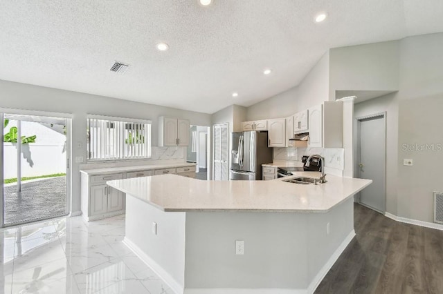 915 Brittany Park Blvd, Tarpon Springs, FL 34689 - kitchen featuring appliances with stainless steel finishes, decorative backsplash, under cabinet range hood, a peninsula, and vaulted ceiling