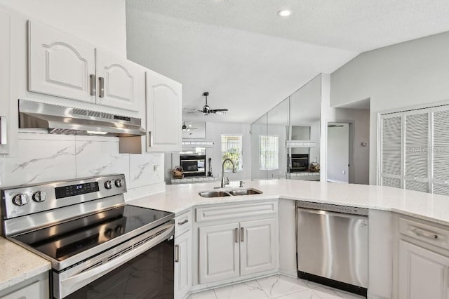915 Brittany Park Blvd, Tarpon Springs, FL 34689 - kitchen with stainless steel appliances, under cabinet range hood, a sink, lofted ceiling, and ceiling fan