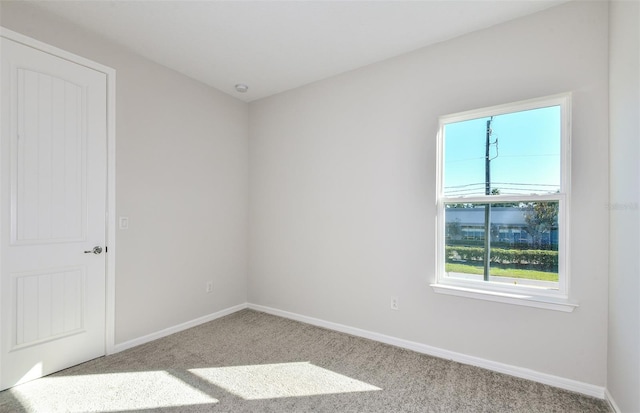 spare room with baseboards and carpet flooring