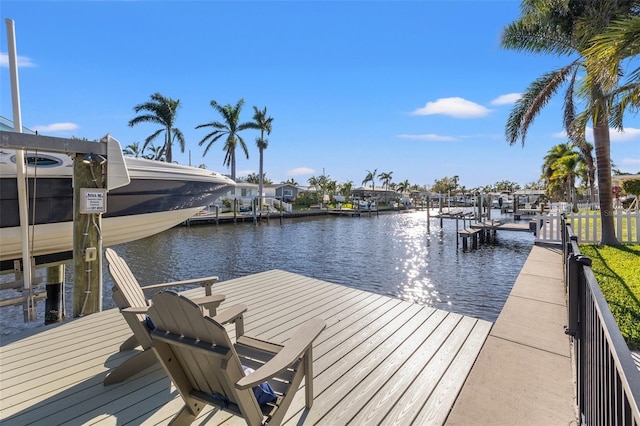 dock area with a water view