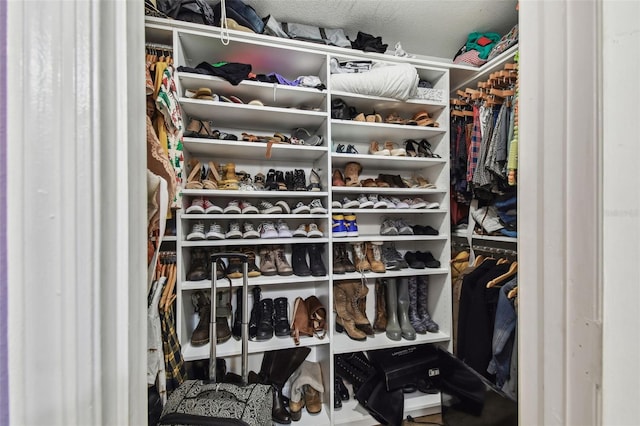 view of walk in closet