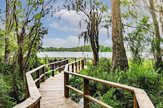 dock area with a water view