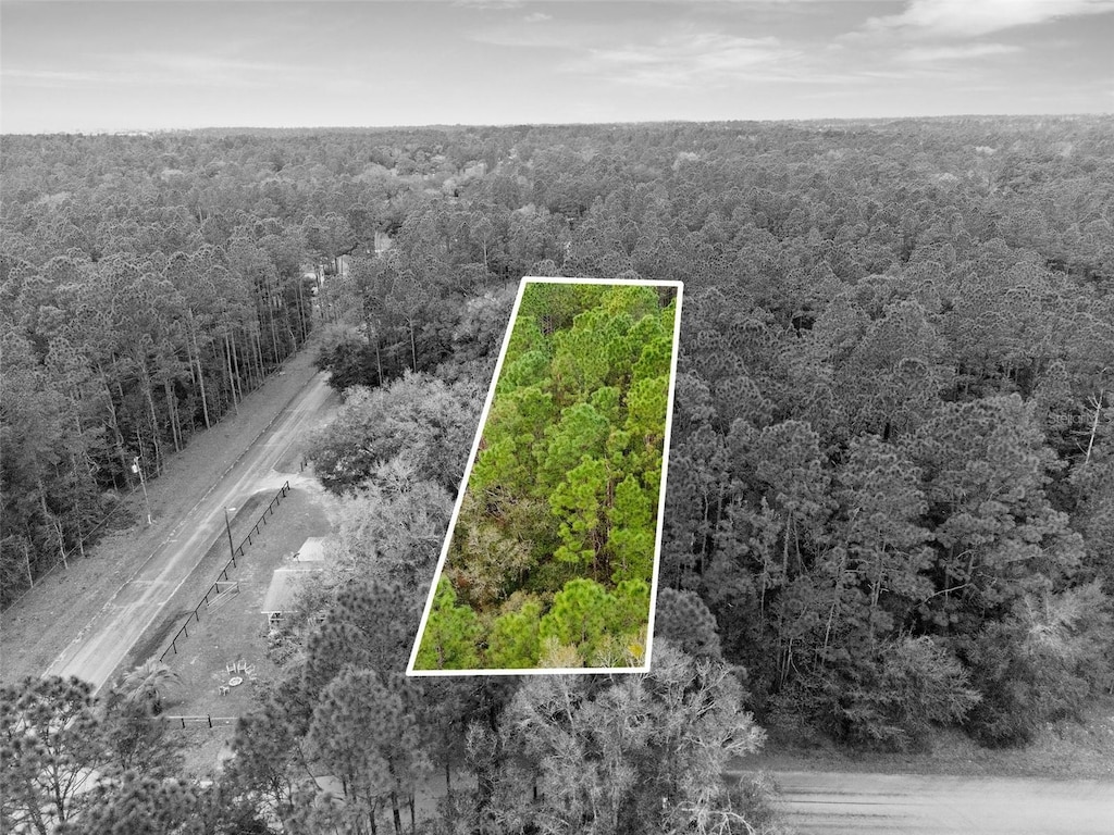 000 SW 202nd Ct, Dunnellon, FL 34431